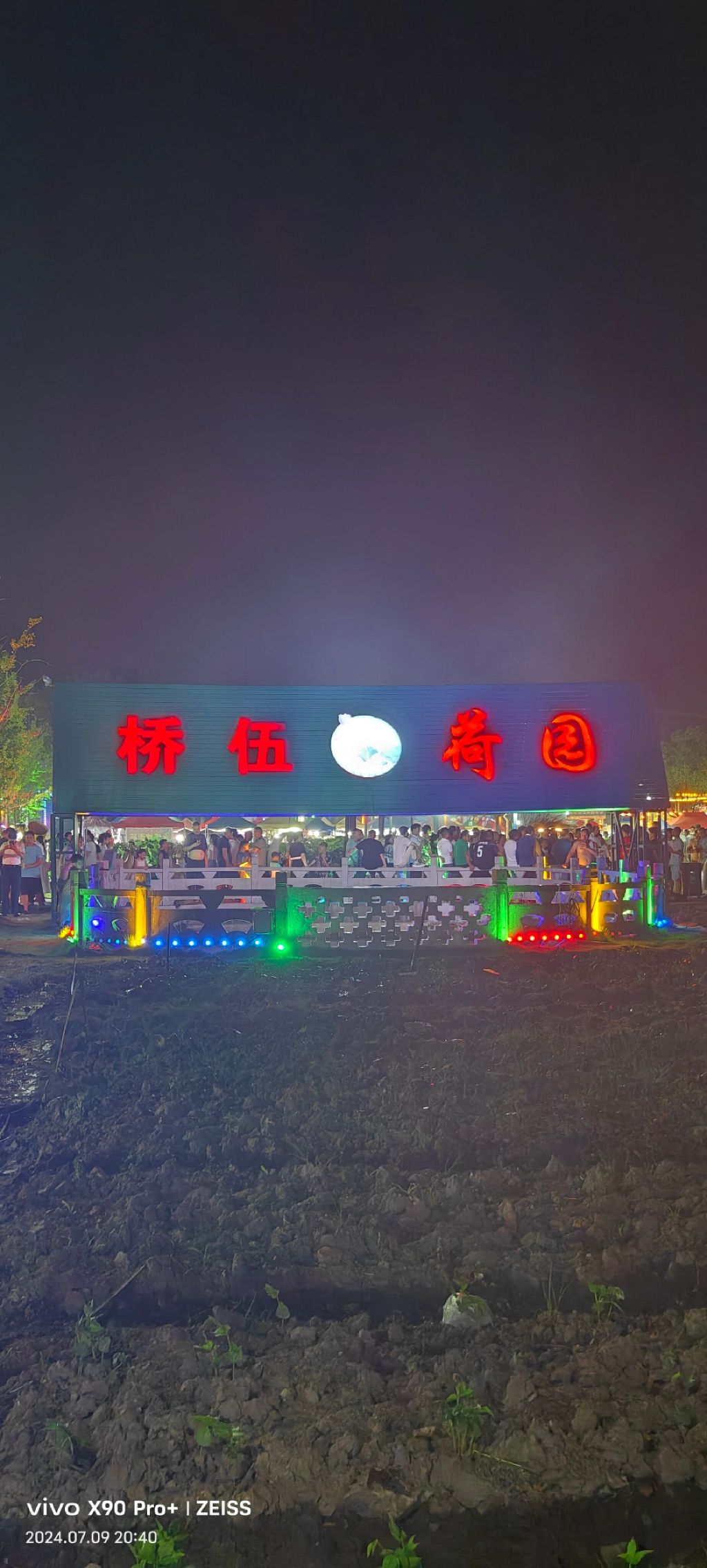 桥伍荷花园旅行图片 1