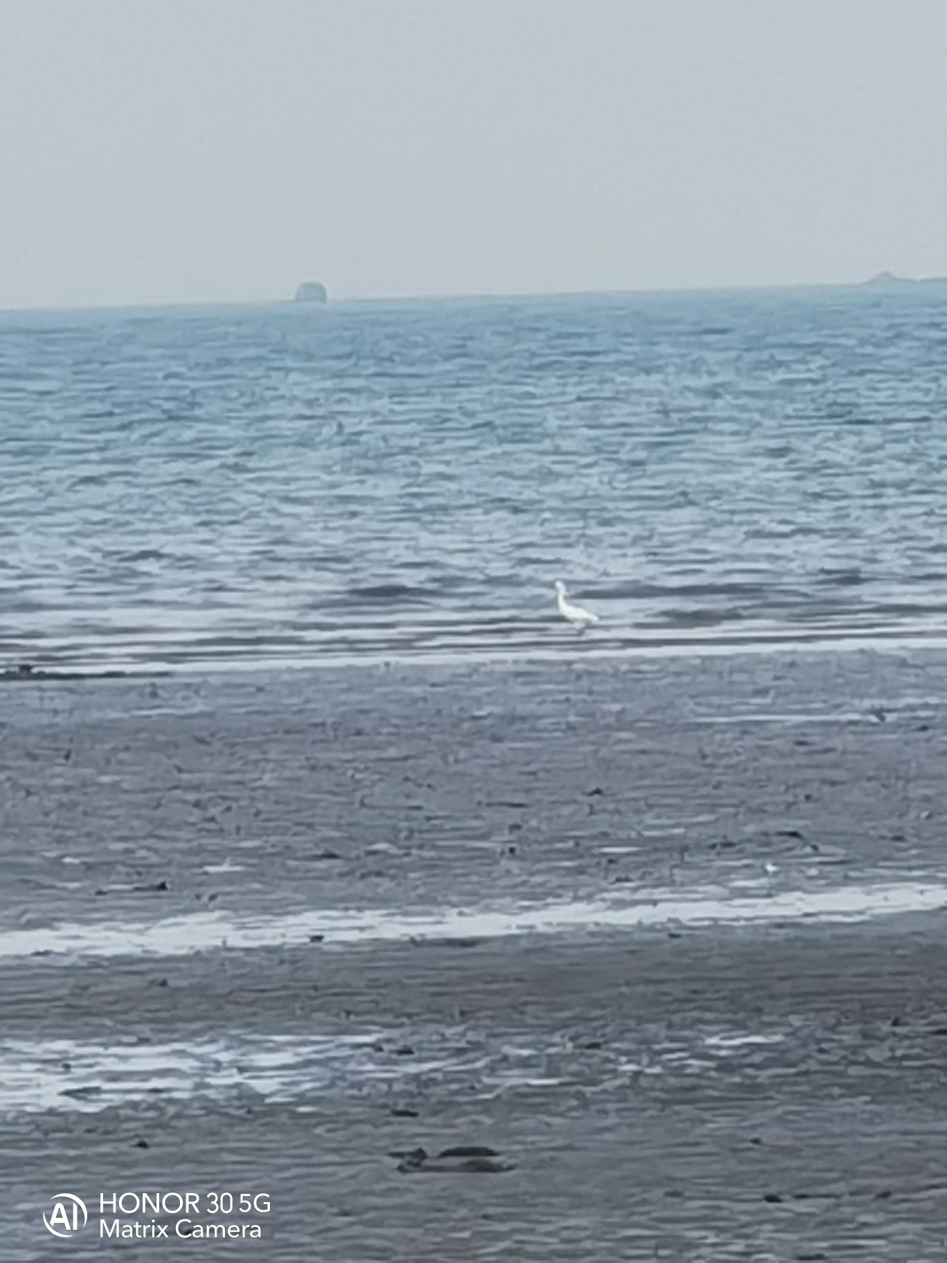 大厦湾沙滩旅行图片 2