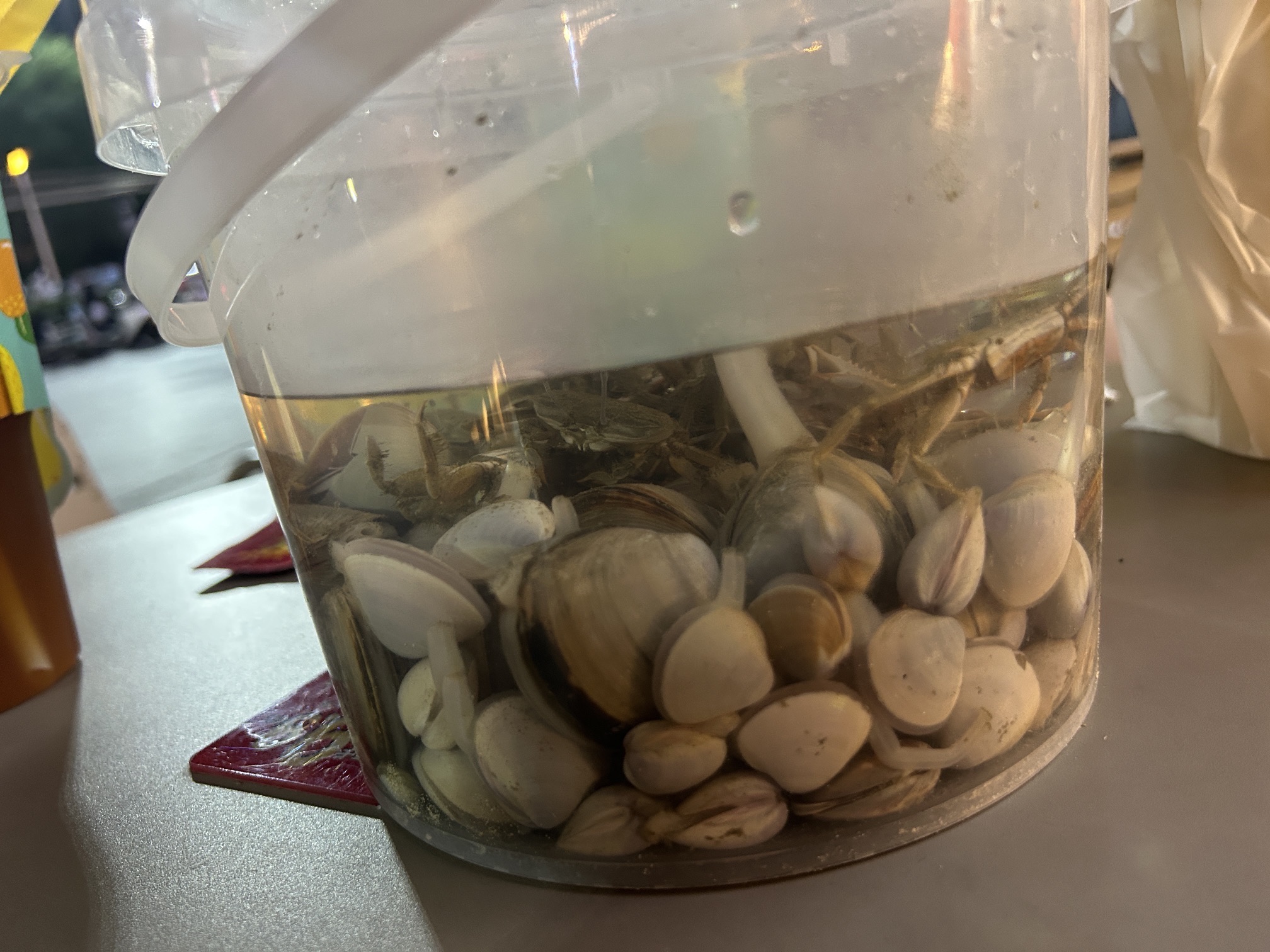 大厦湾沙滩旅行图片 1