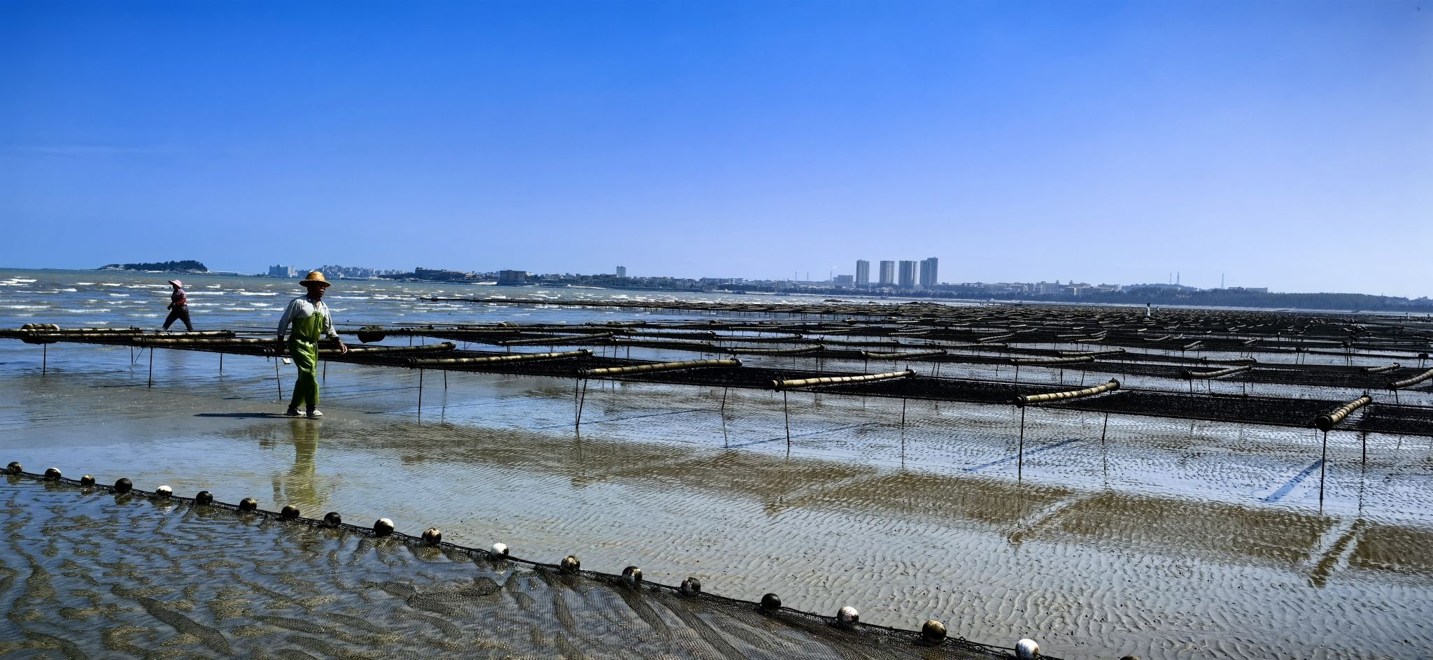大厦湾沙滩旅行图片 1