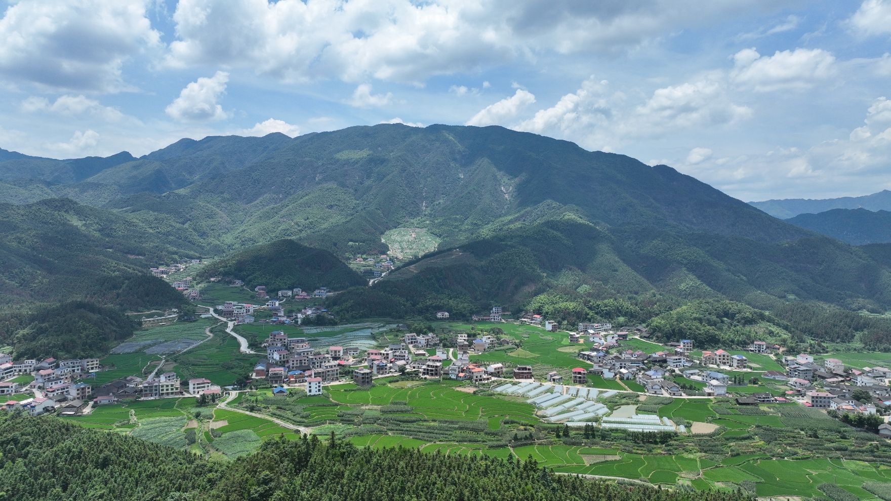 凤凰山公园旅行图片 1