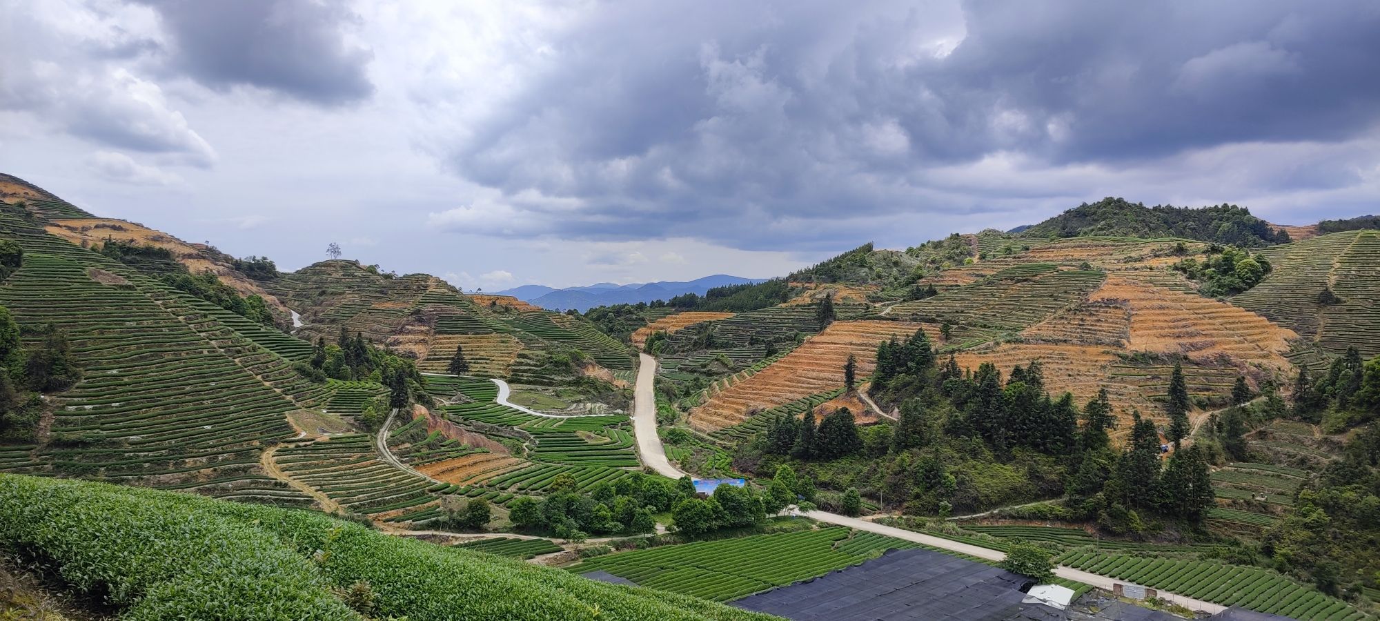 九龙江西溪源旅行图片 1