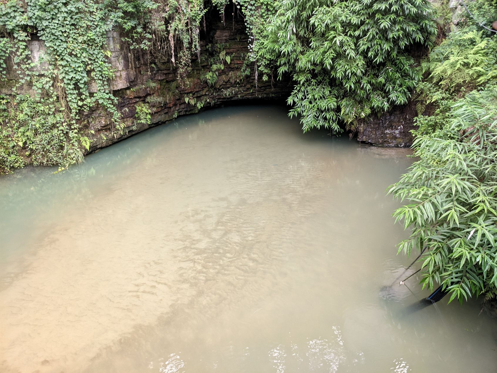 小鱼洞餐馆旅行图片 2