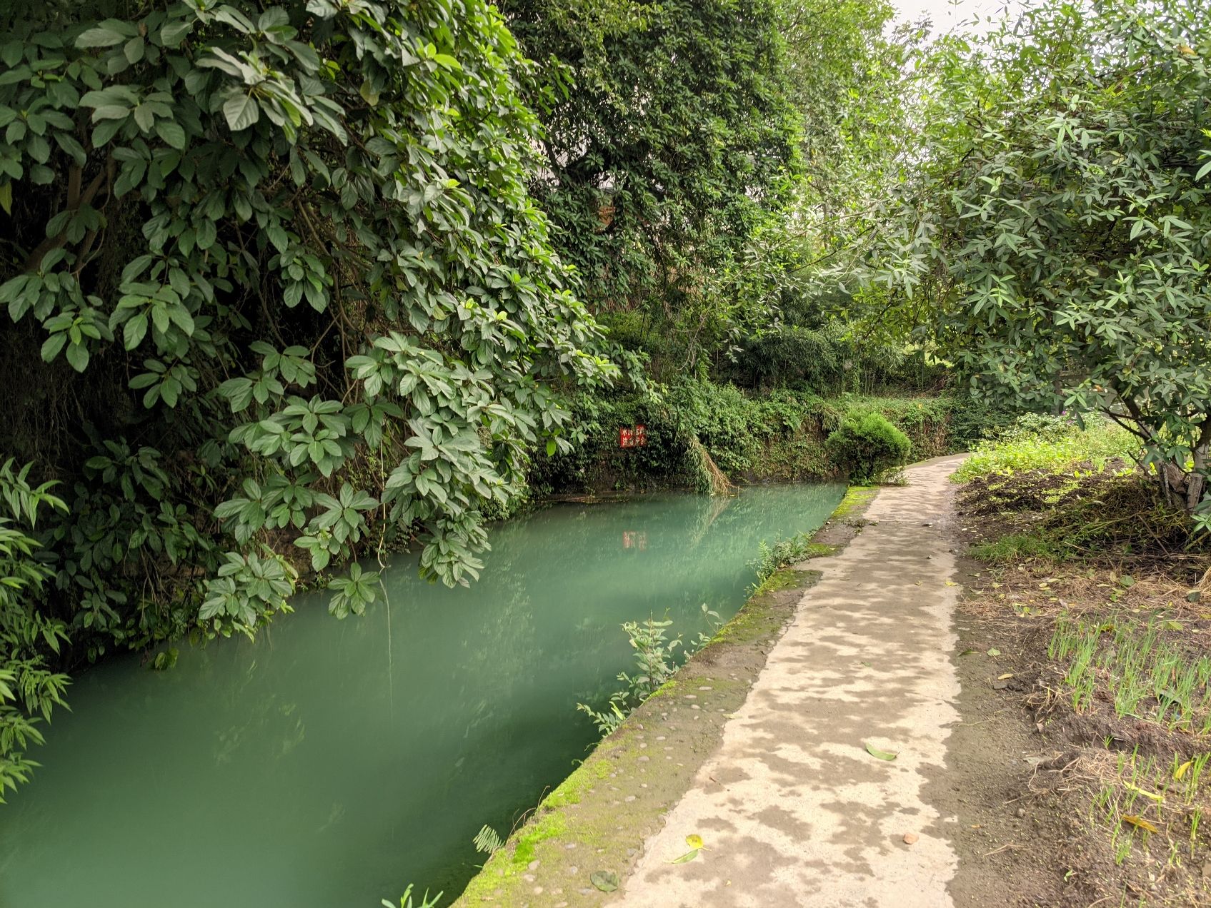 小鱼洞餐馆旅行图片 3