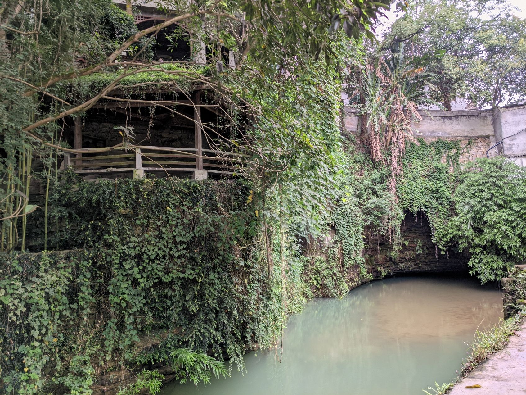 小鱼洞餐馆旅行图片 1