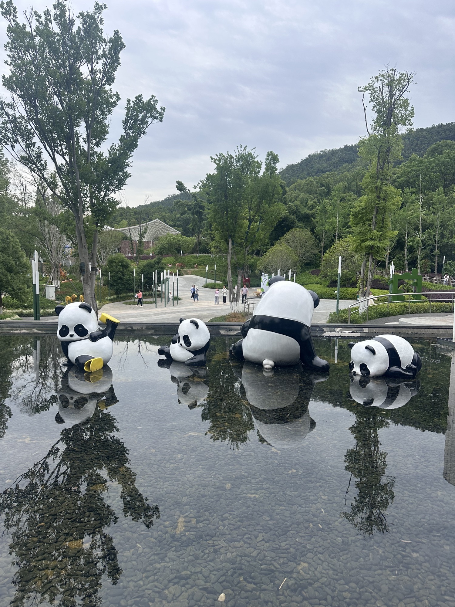 岳阳中华大熊猫苑旅行图片 1