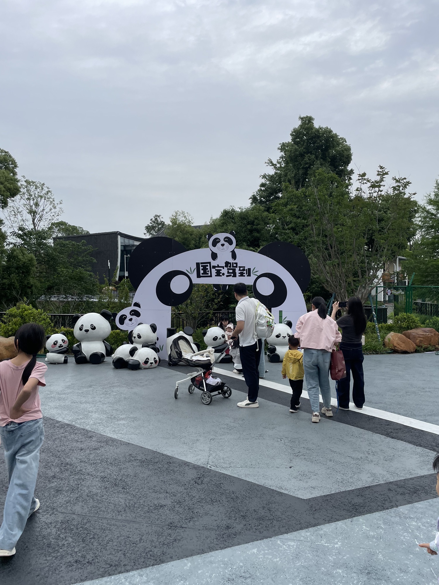 岳阳中华大熊猫苑旅行图片 2