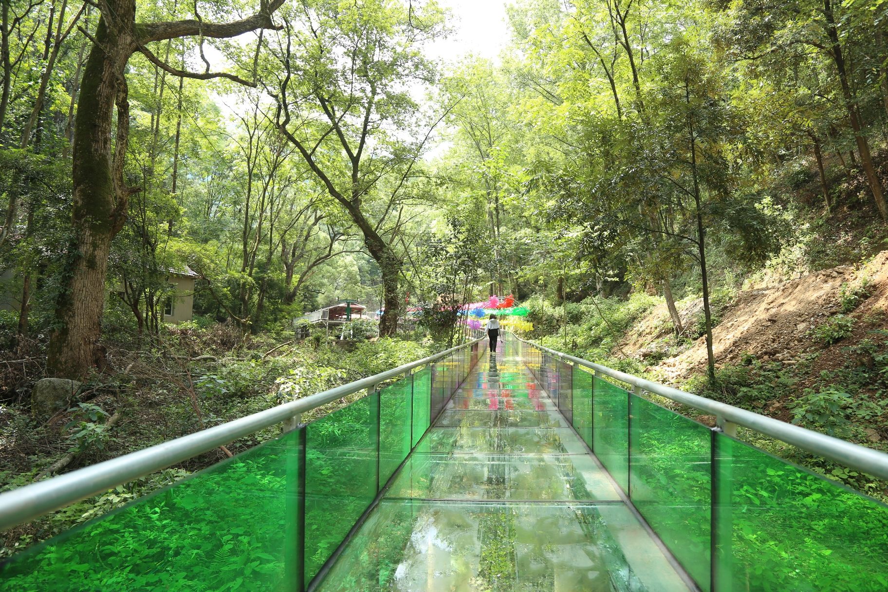 归云渡景区旅行图片 3