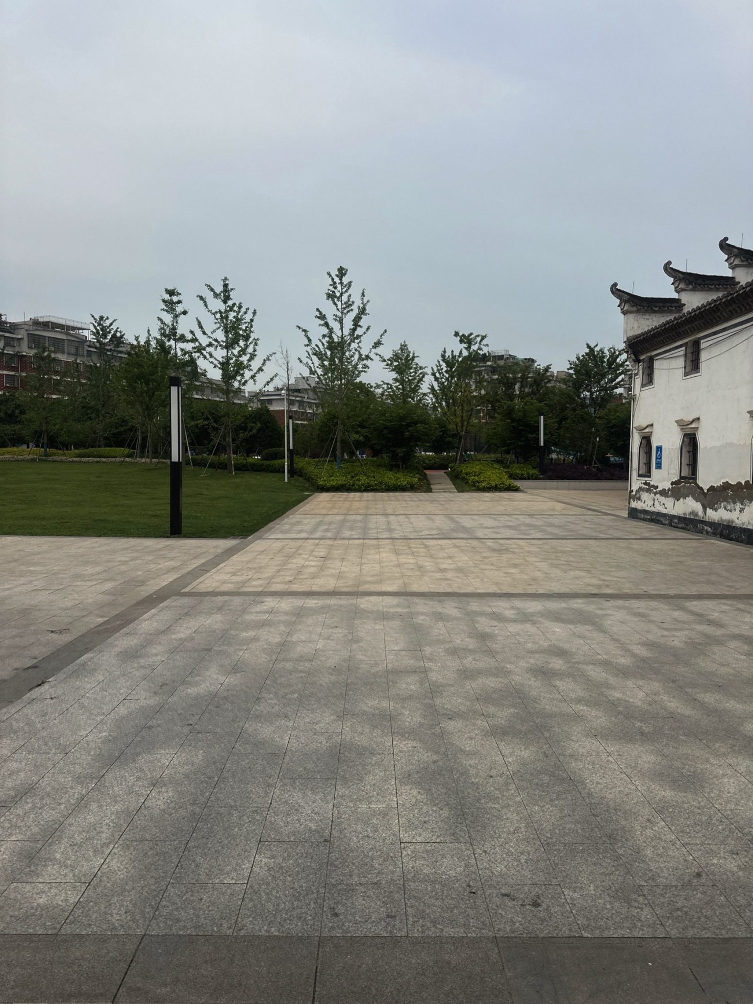 黄杨梅公园旅行图片 3