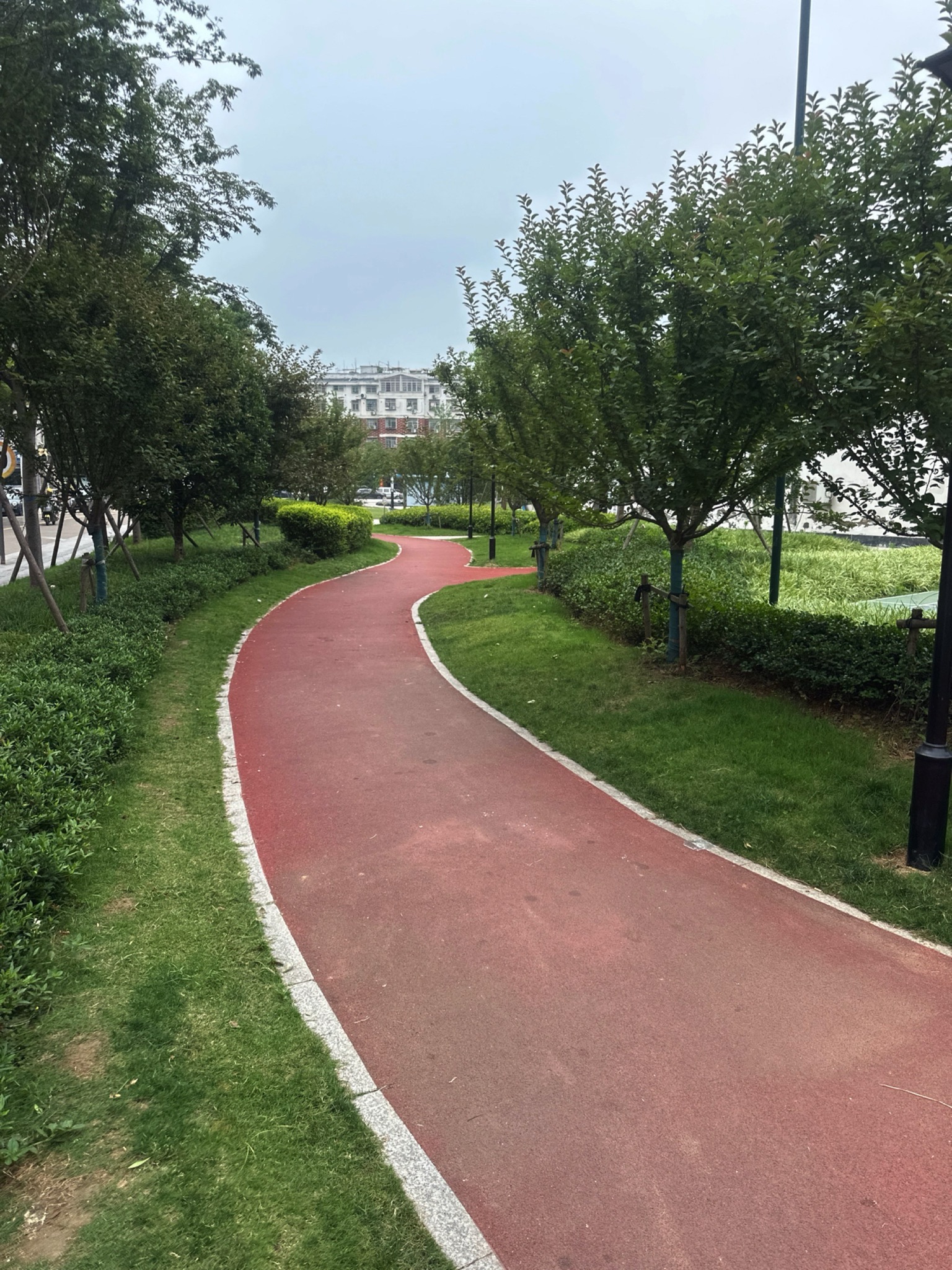 黄杨梅公园旅行图片 1