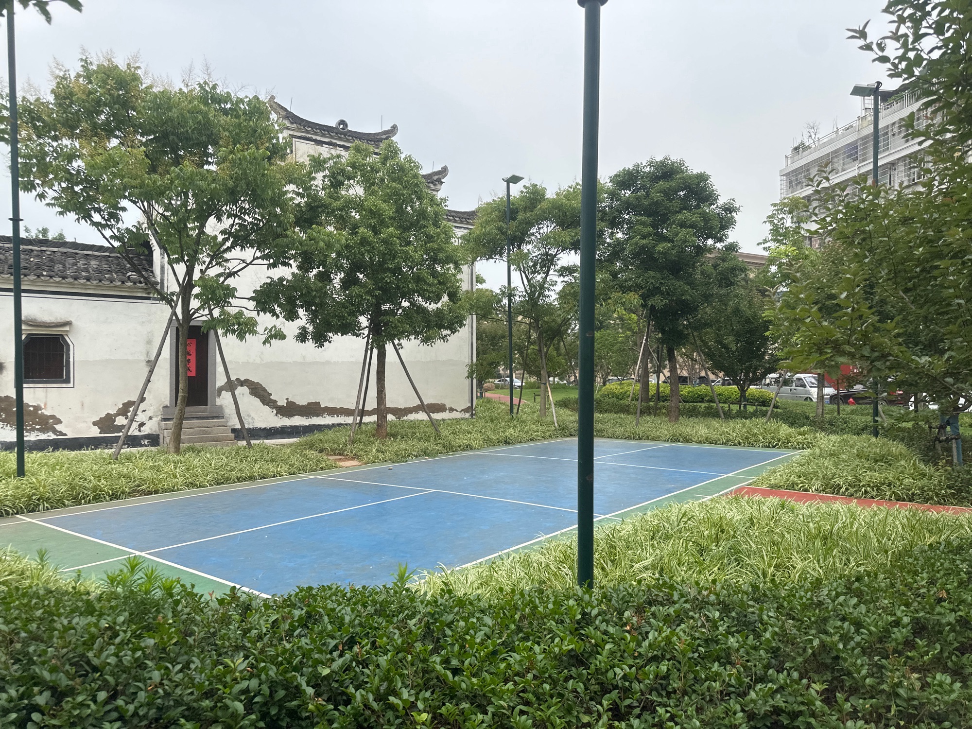 黄杨梅公园旅行图片 2