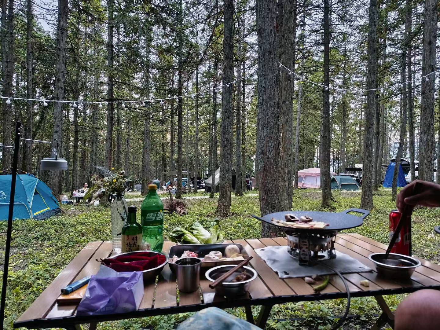 场地封面-南川新梯子露营基地