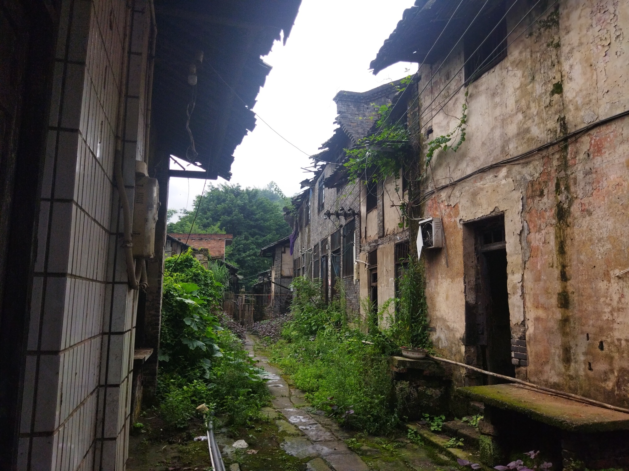 青泊老街旅行图片 2