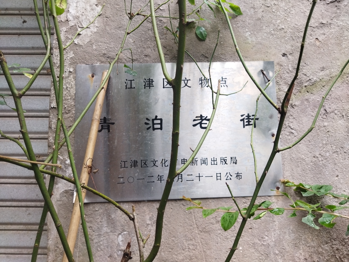 青泊老街旅行图片 1