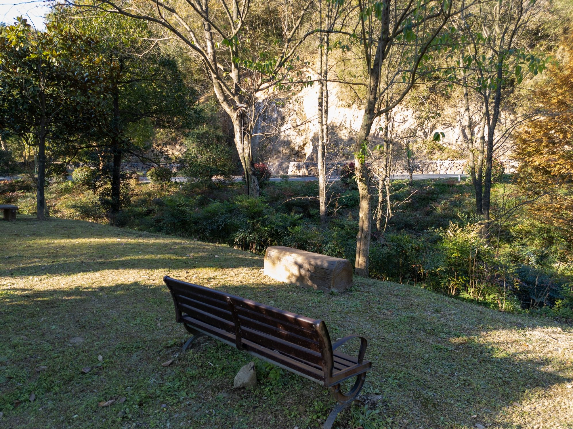驾云山森林世界旅行图片 2