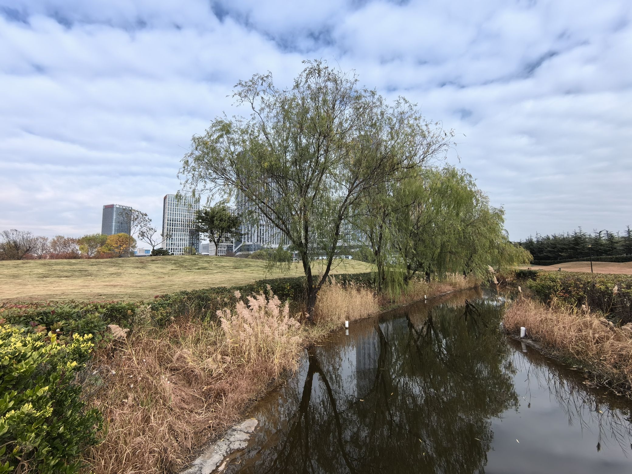 青岛西海岸市民体育公园旅行图片 2