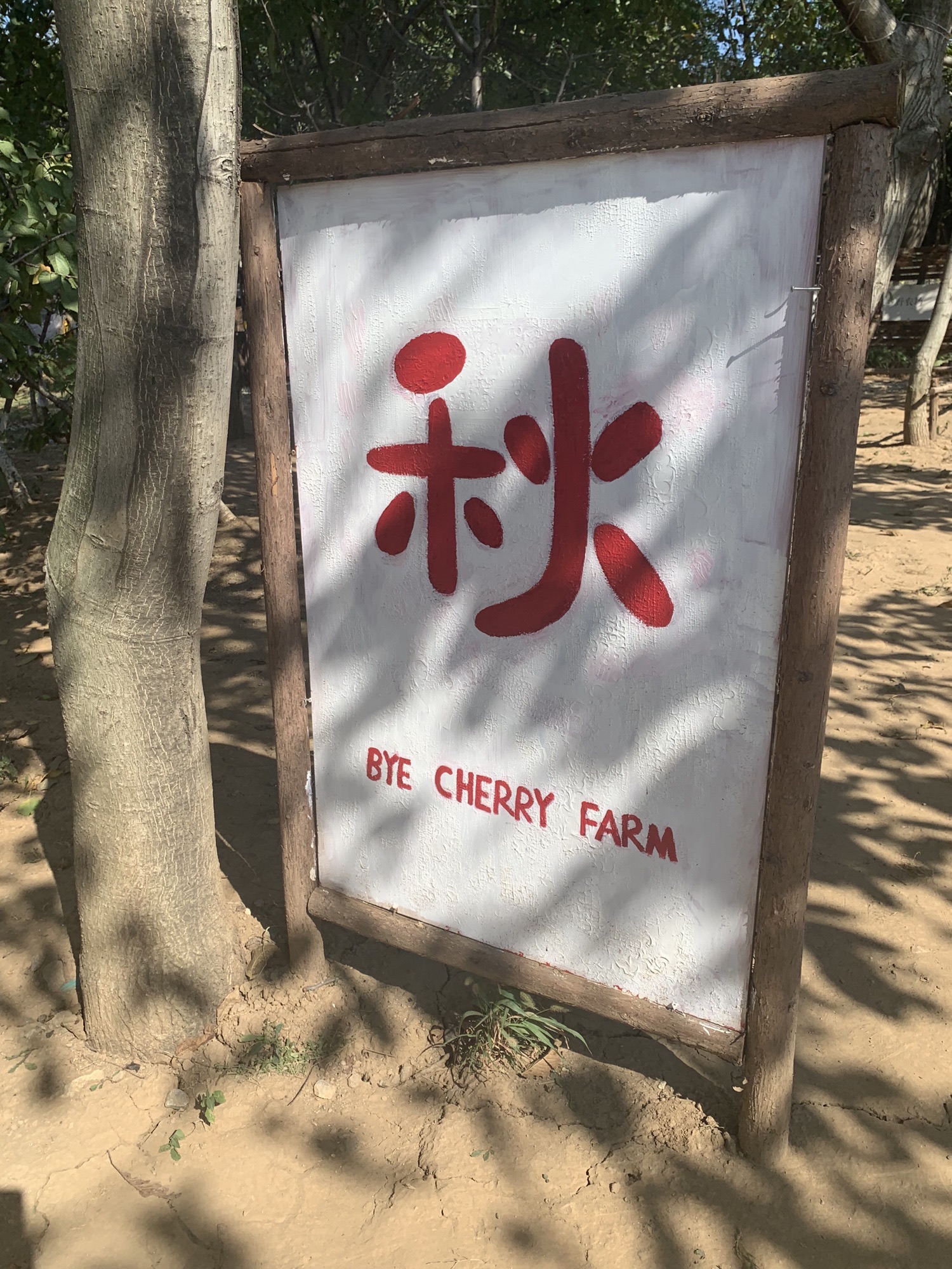 场地封面-樱桃再见乡野农场