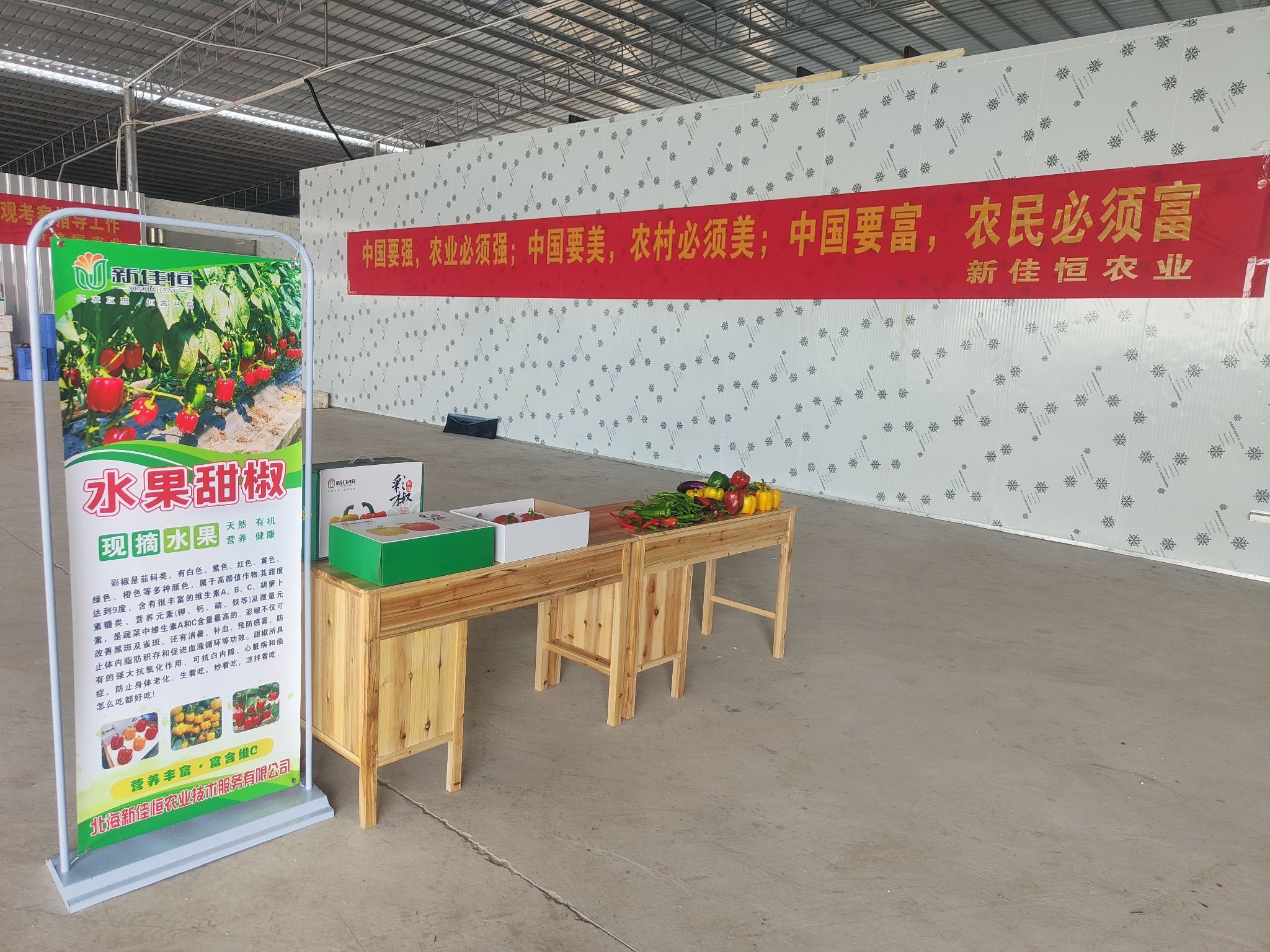 北海新佳恒农业沙岗贤子山基地
