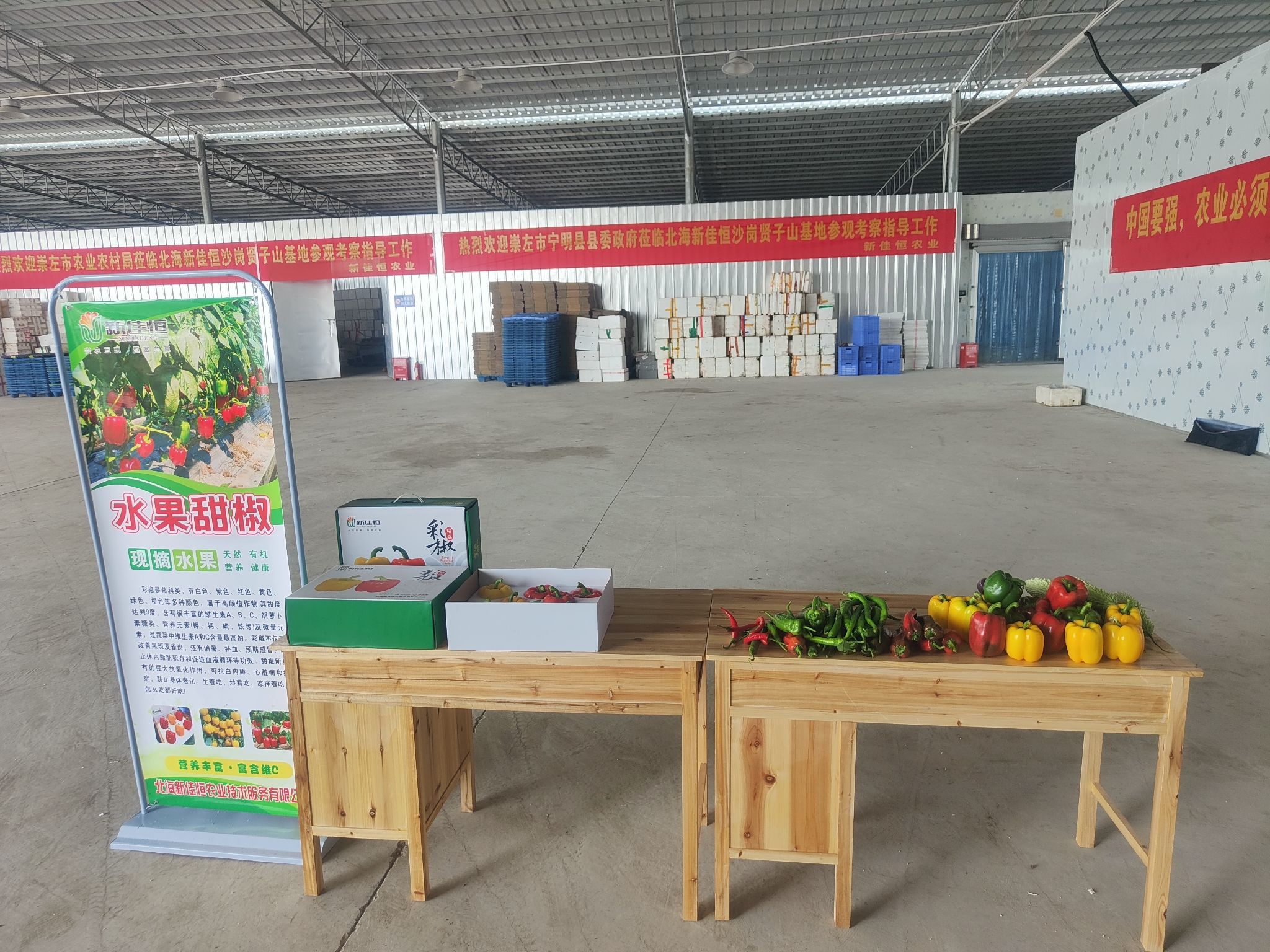 北海新佳恒农业沙岗贤子山基地