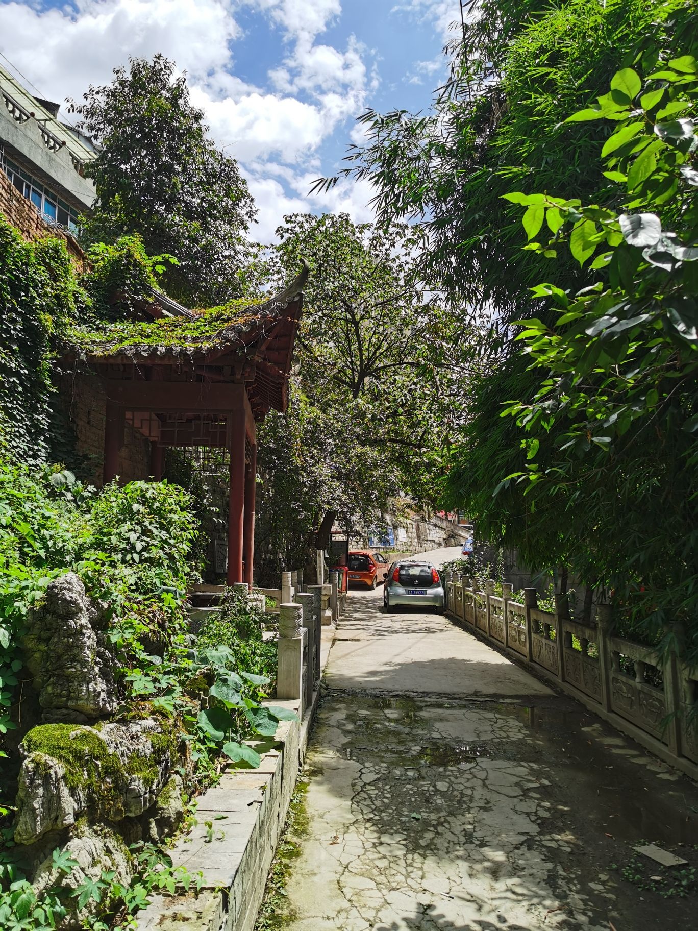 金顶山井旅行图片 3