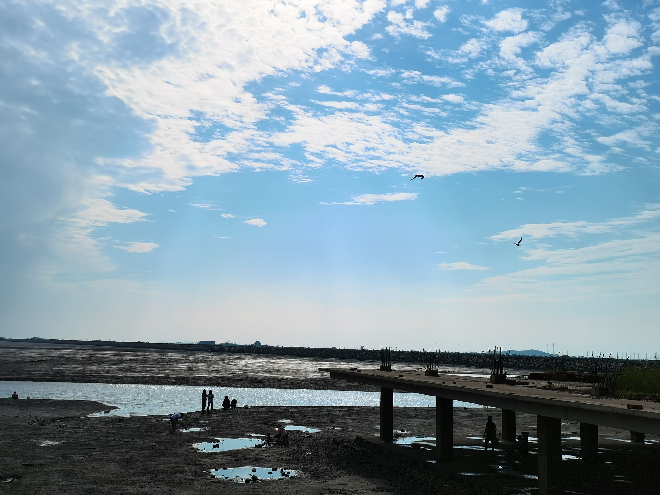 凭海临风旅行图片