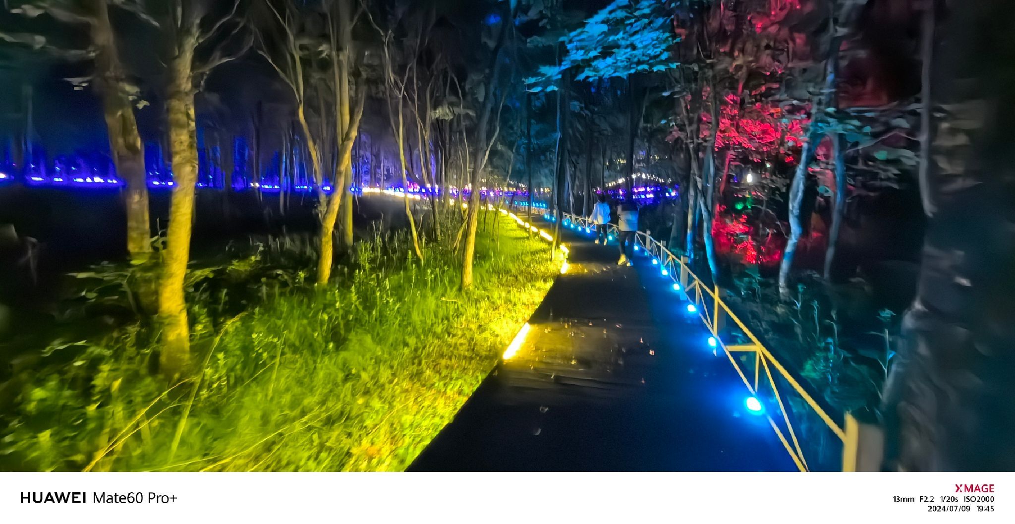 梦幻森林旅行图片 1