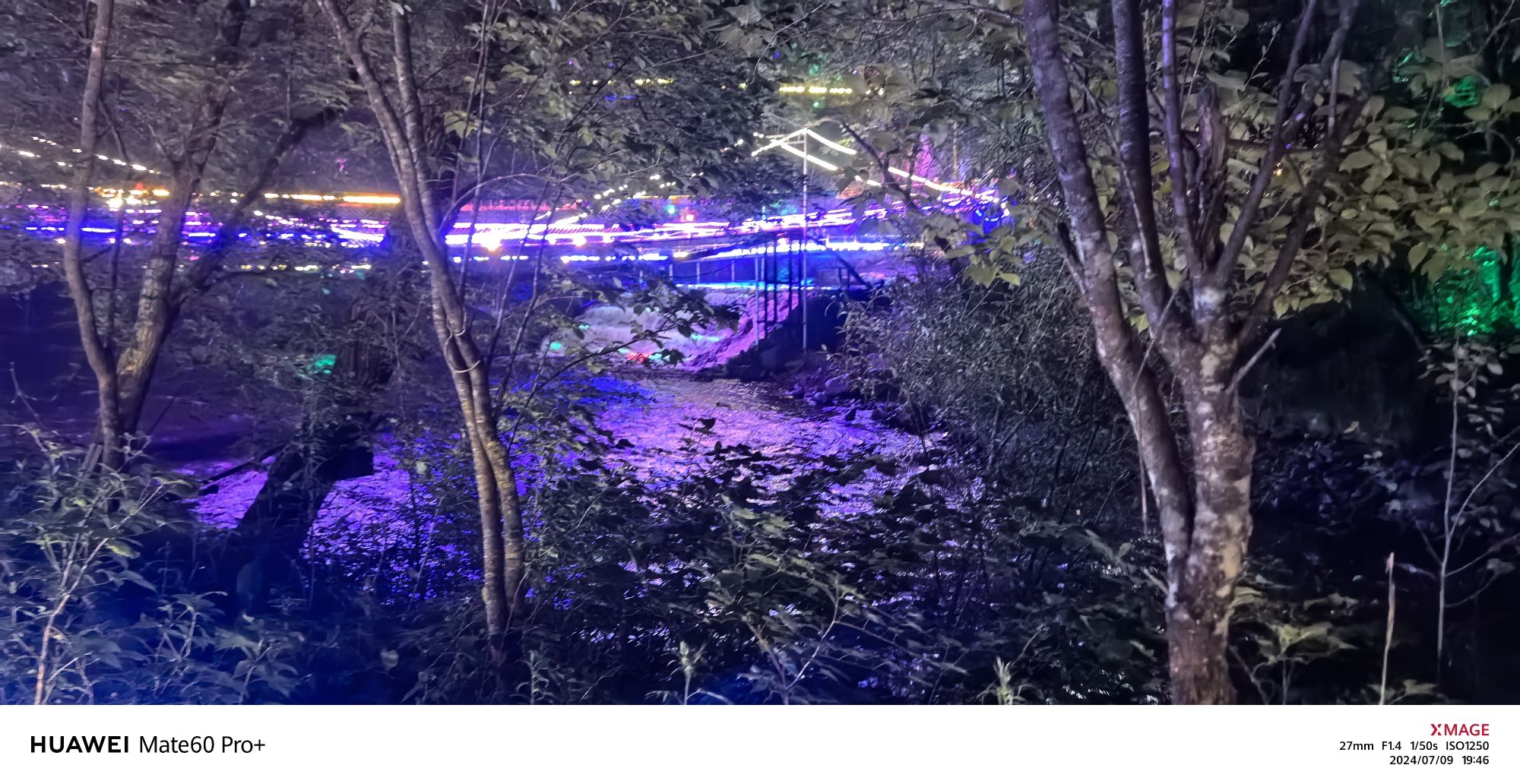 梦幻森林旅行图片 2
