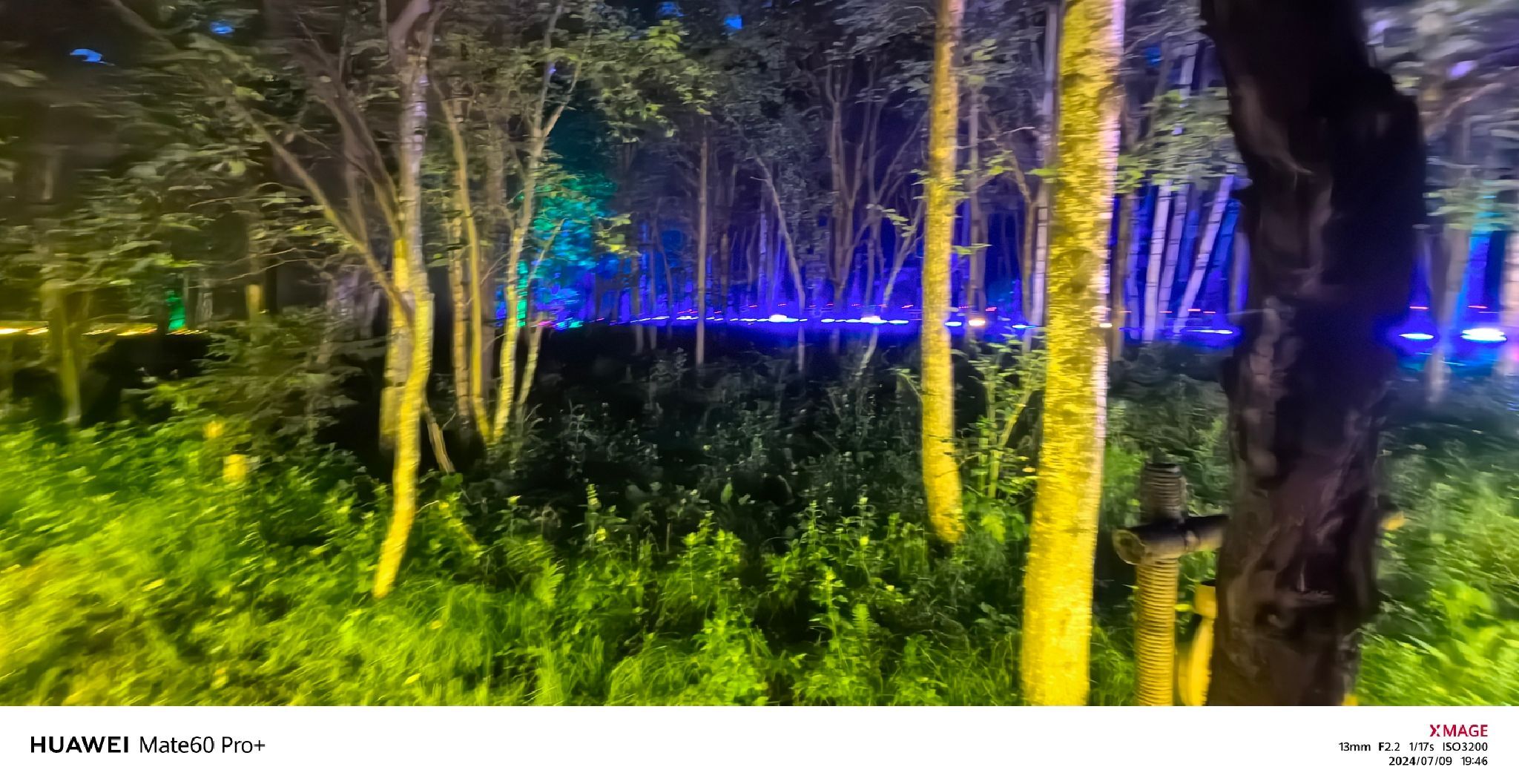 梦幻森林旅行图片 3