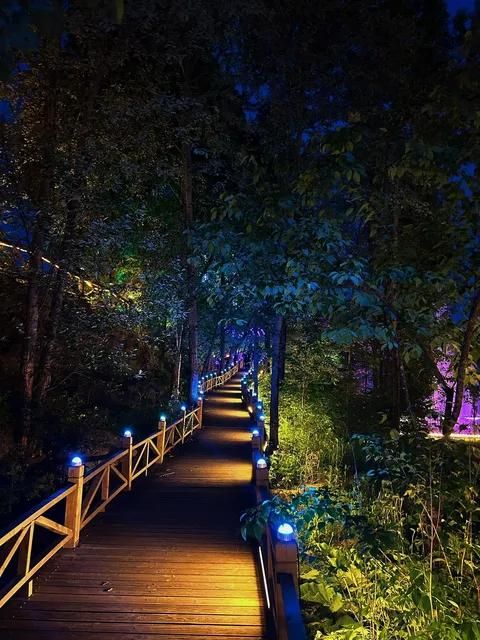 梦幻森林旅行图片 1