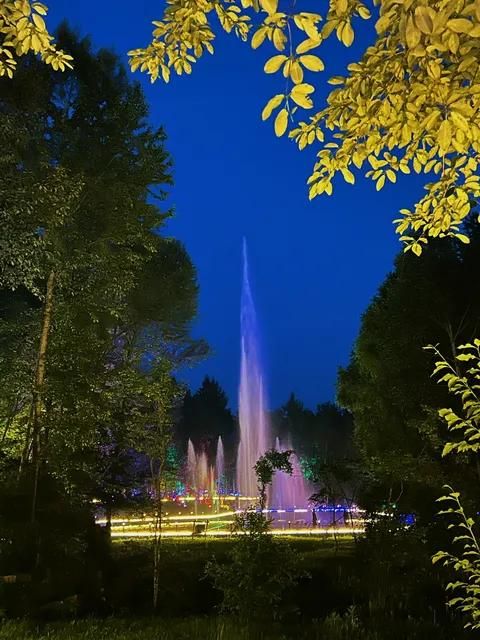 梦幻森林旅行图片 2