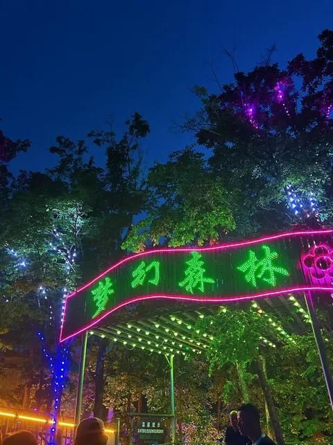 梦幻森林旅行图片 3
