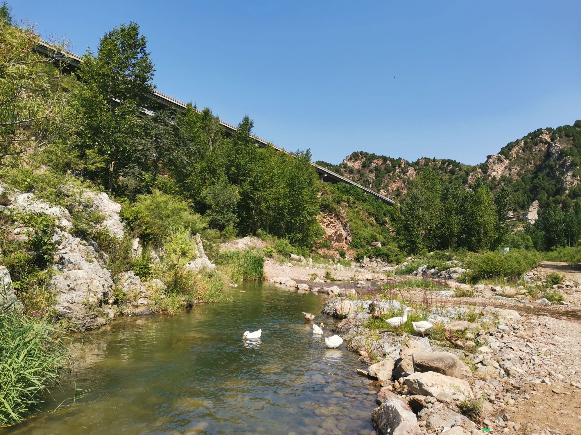 场地封面-山野溪露营地