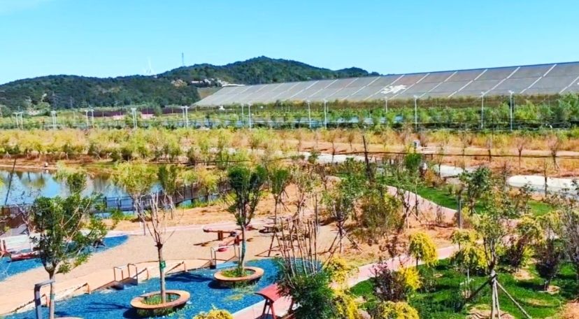 清河生态公园旅行图片 2