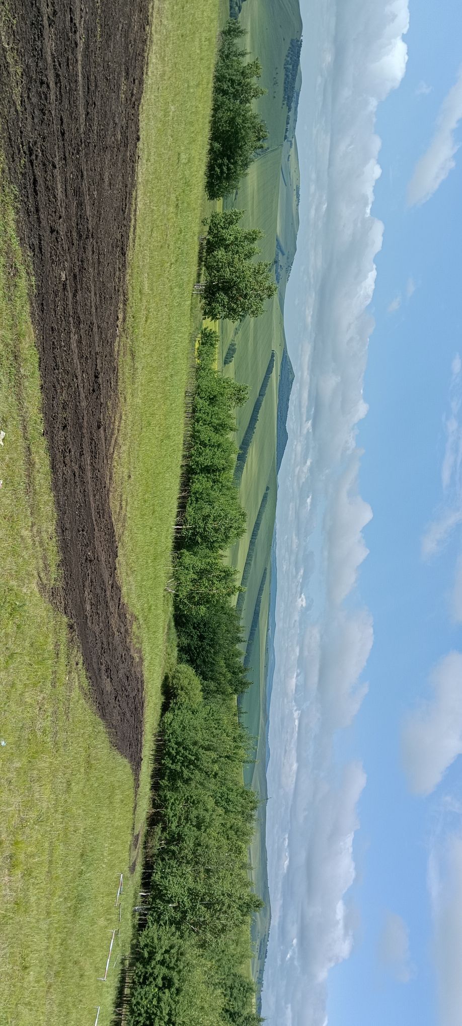 特泥河湿地观景台旅行图片 1