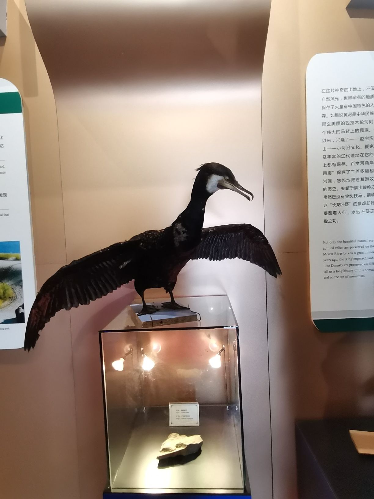 砧子山古岩画旅行图片 3