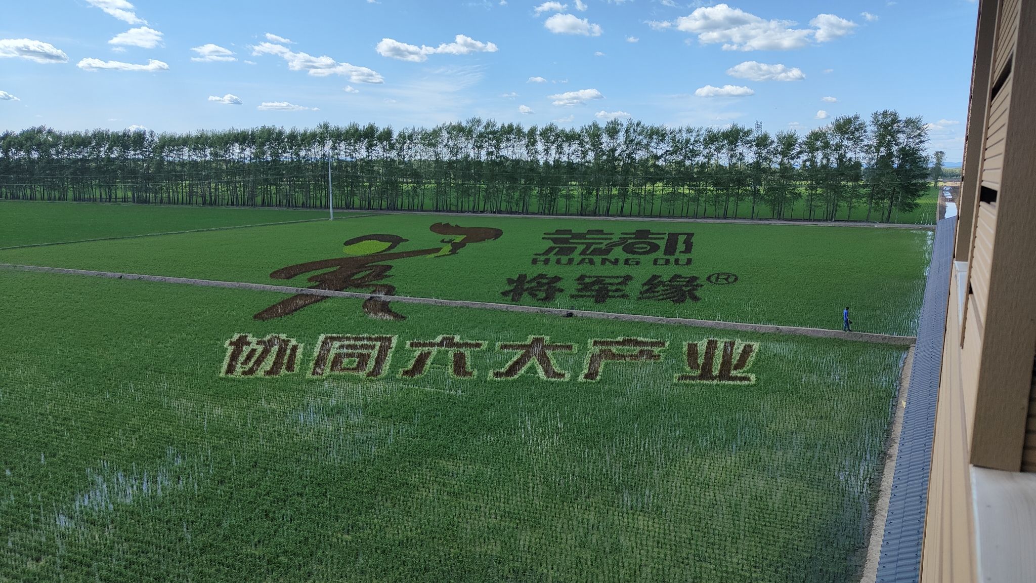 八五0荒火燎原旅行图片 3
