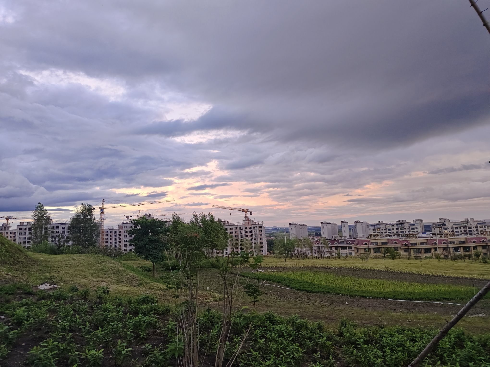 初心广场旅行图片 3