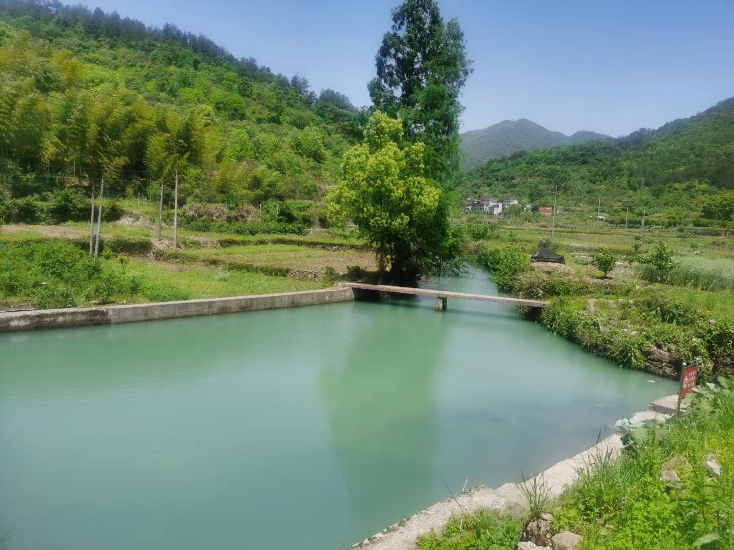 胡公诞生地胡公殿旅行图片 1
