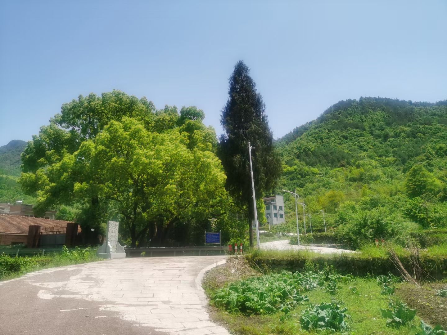 胡公诞生地胡公殿旅行图片 1