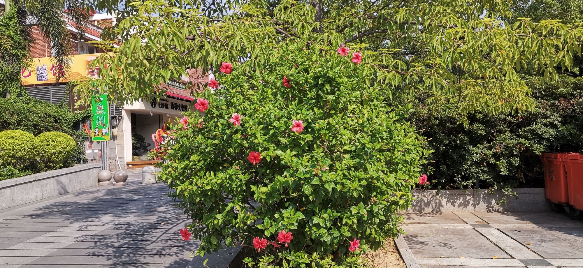泉州古城旅行图片 2