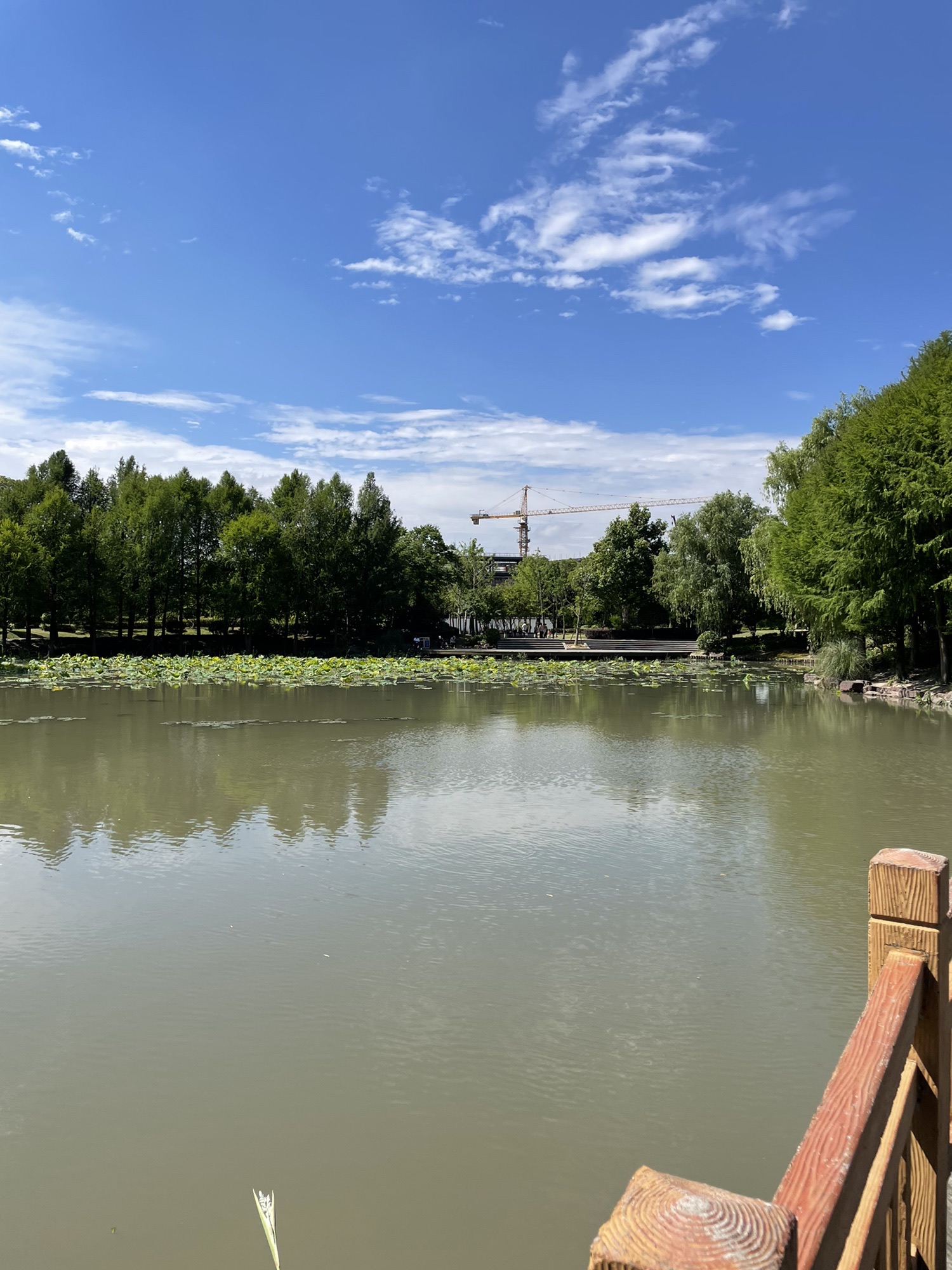 九千泾公园旅行图片 3
