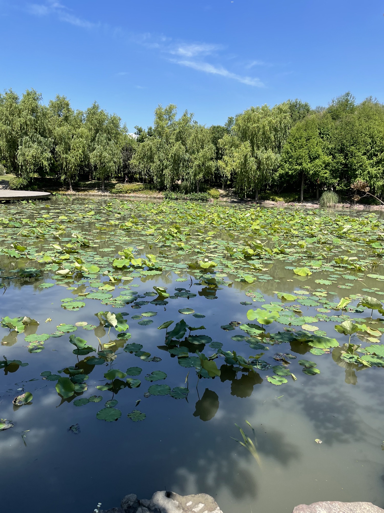 九千泾公园旅行图片 2