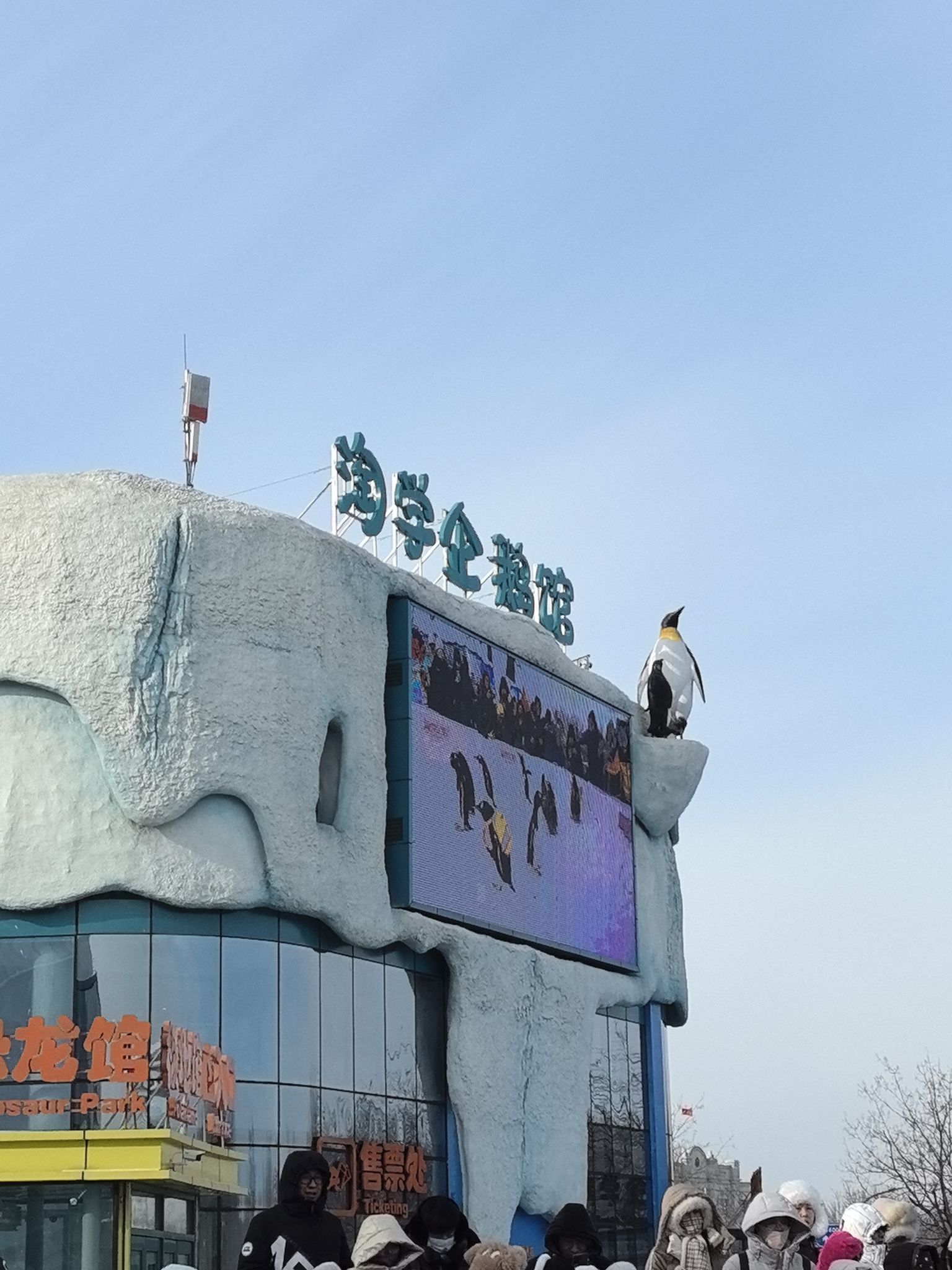 淘学企鹅馆旅行图片 1