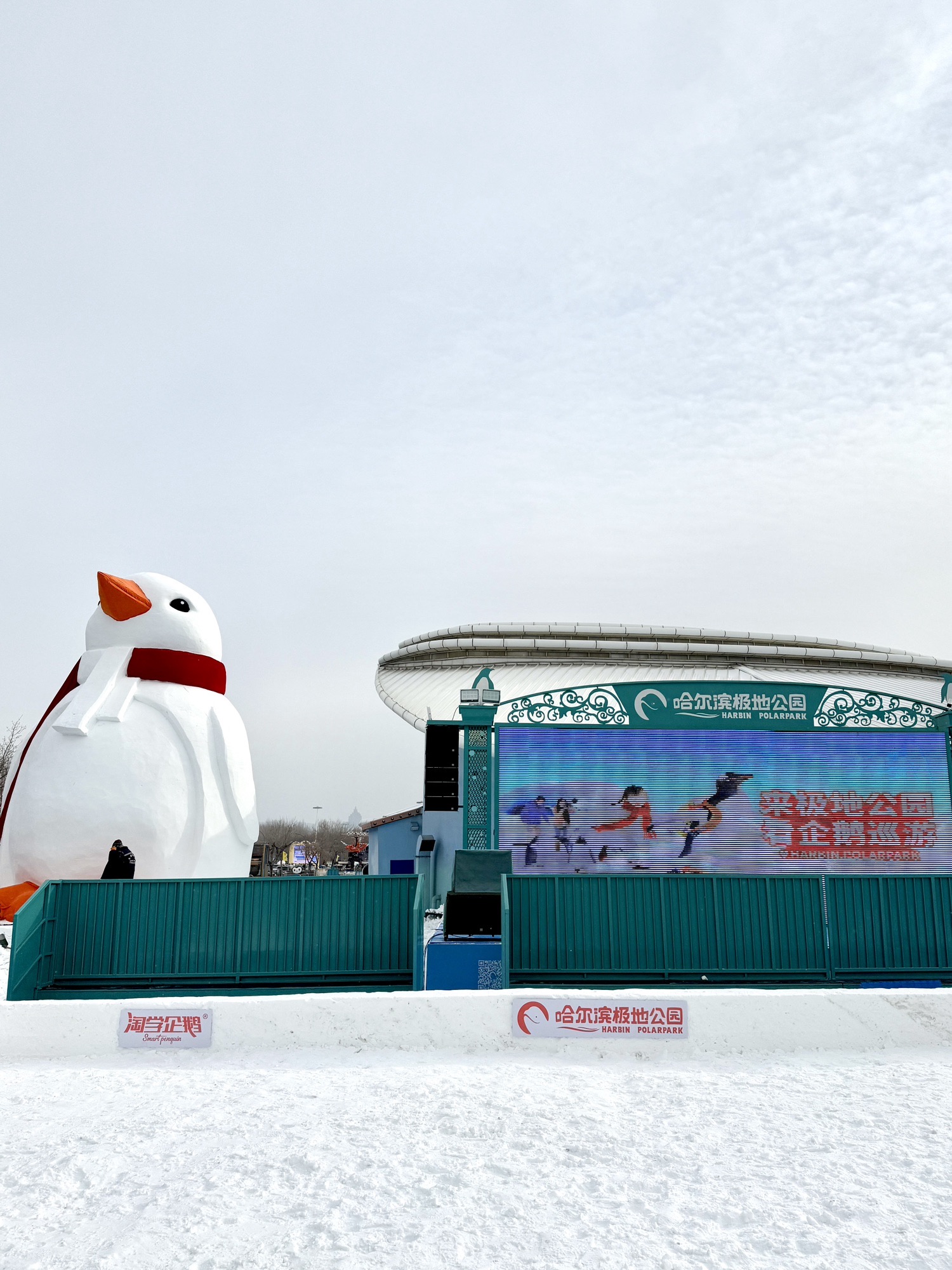 淘学企鹅馆旅行图片 1