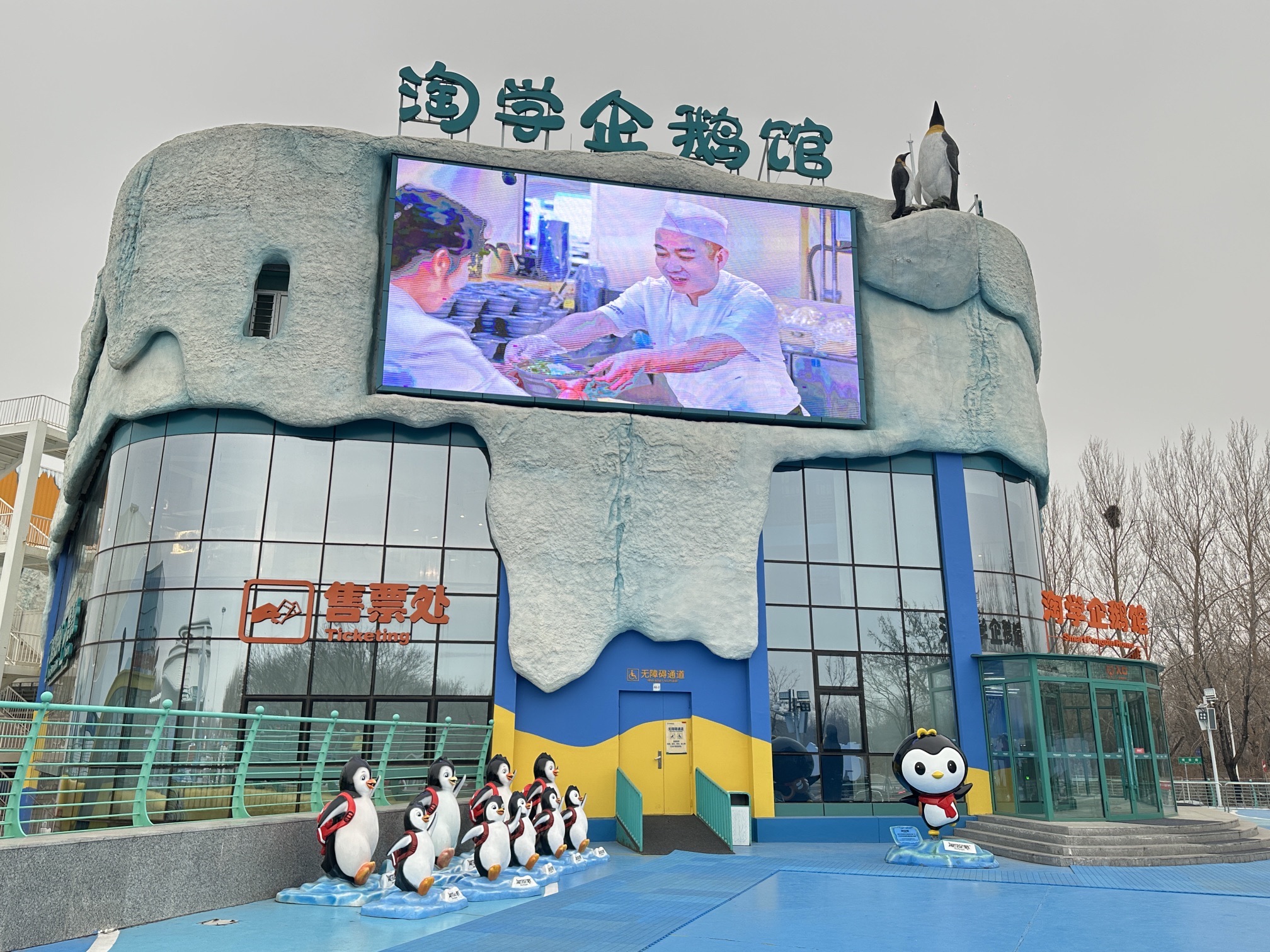 淘学企鹅馆旅行图片 1
