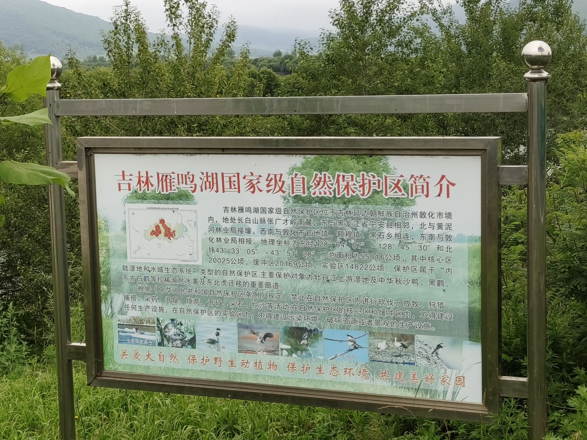 雁鸣湖观景平台旅行图片 2