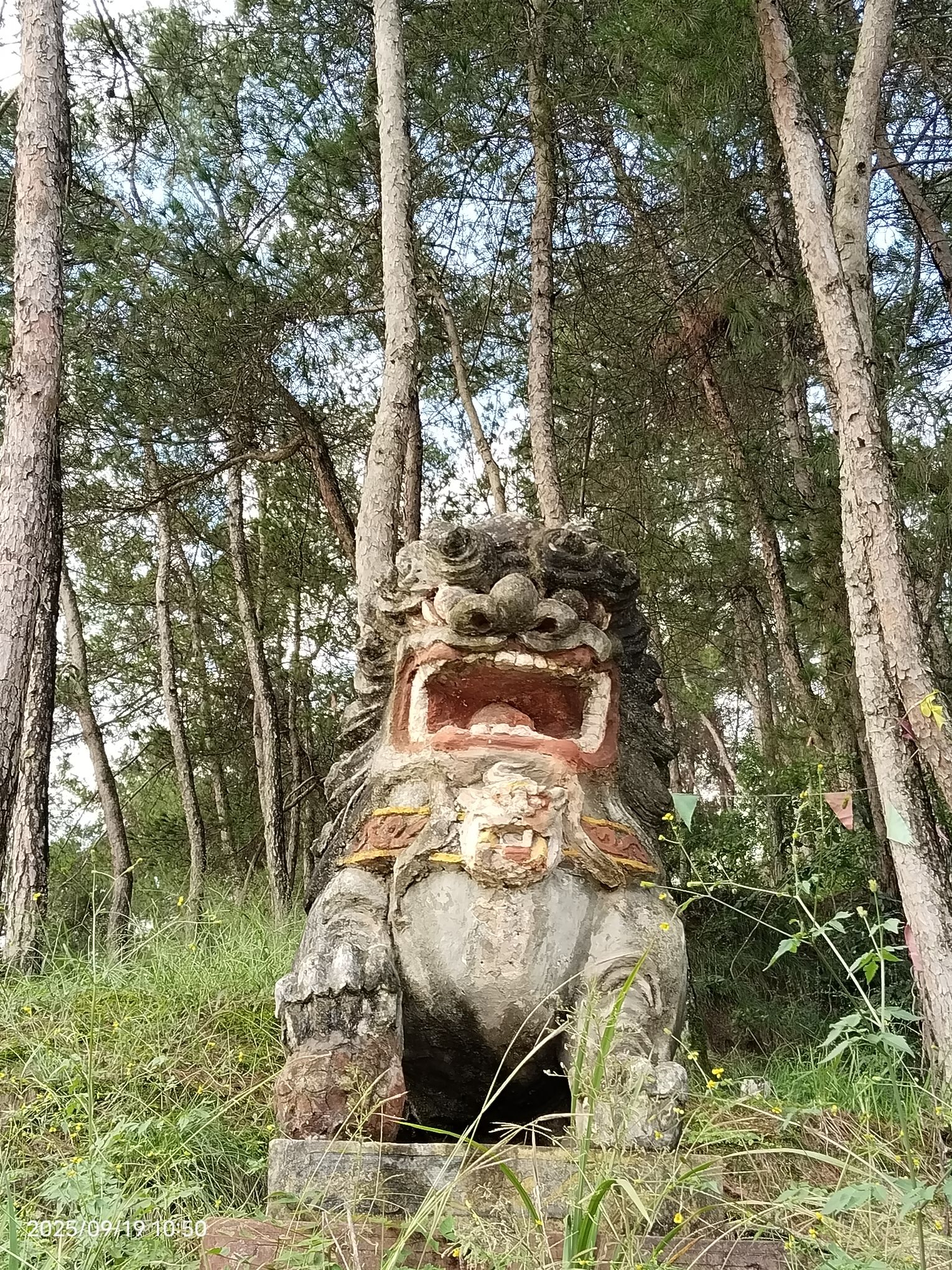 南郑区白沙寨村白龙庙实景照片