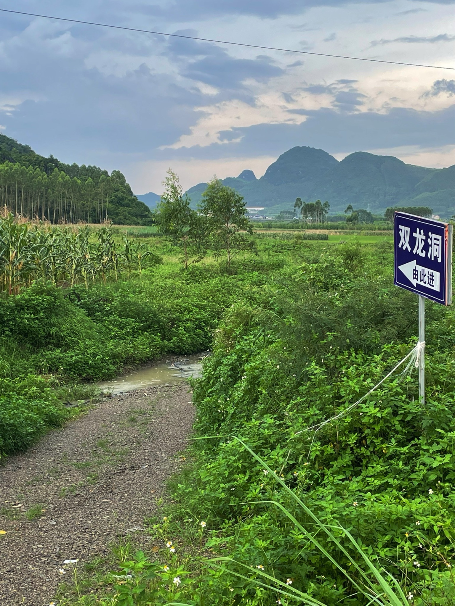 双龙冰洞旅行图片 1