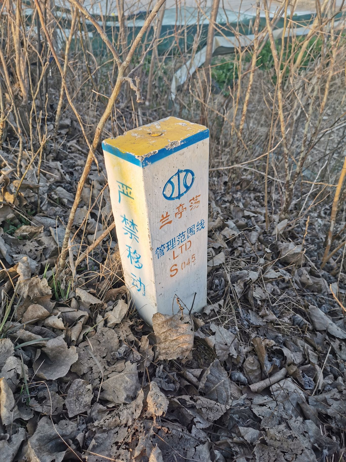 兰亭荡湿地保护区旅行图片 3