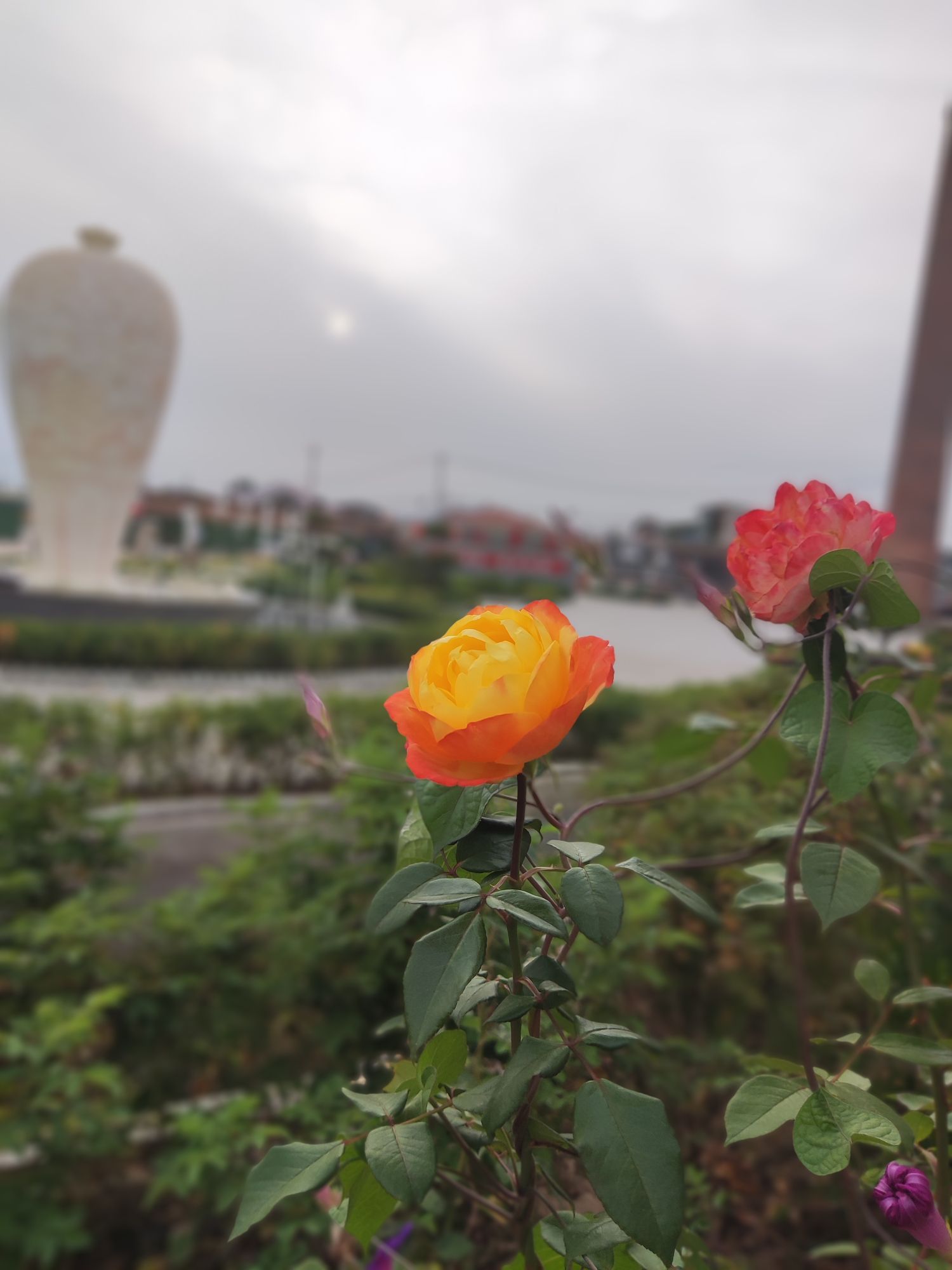 定瓷小镇旅行图片 1